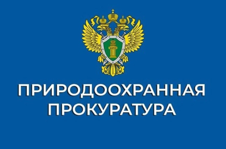 Печорская природоохранная прокуратура информирует. Печорская природоохранная прокуратура информирует.