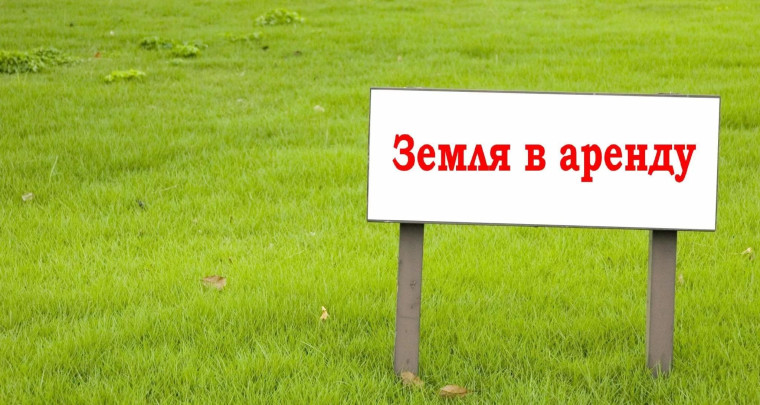 О предоставлении земельного участка в аренду для ведения личного подсобного хозяйства (приусадебный земельный участок). О предоставлении земельного участка в аренду для ведения личного подсобного хозяйства (приусадебный земельный участок).